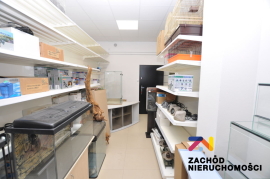 Lokal do wynajęcia Jędrzychów